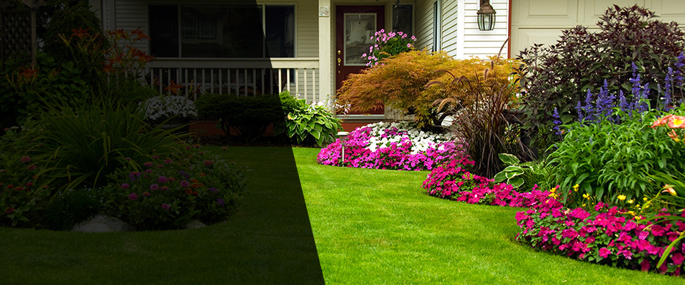 Cuthbert Landscapers