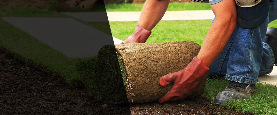Cuthbert Landscapers
